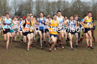 Mens under-20s, 2020 British Athletics Inter Counties Cross Country Champs., Prestwold Hall, Loughborough. Photo: David T. Hewitson/Sports for All Pics